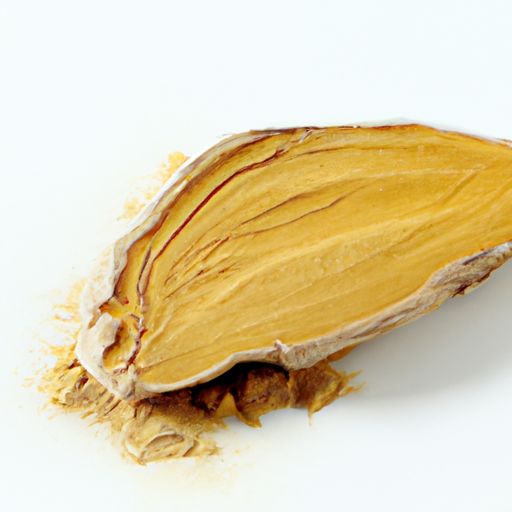 椰棕床垫 椰棕床垫