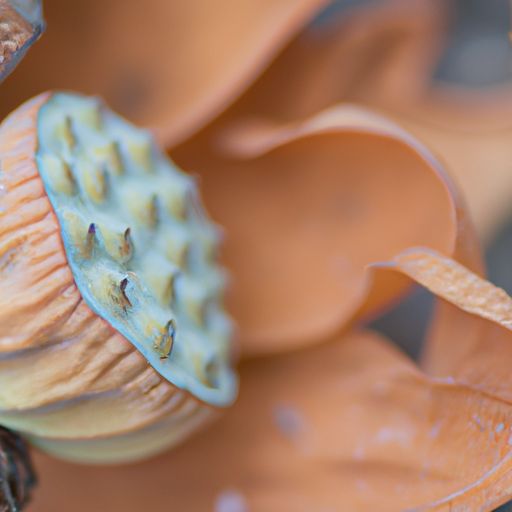 简约风格客厅（简约风格客厅装修效果图）