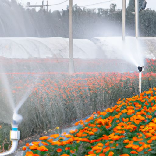 浇花浇哪个部位