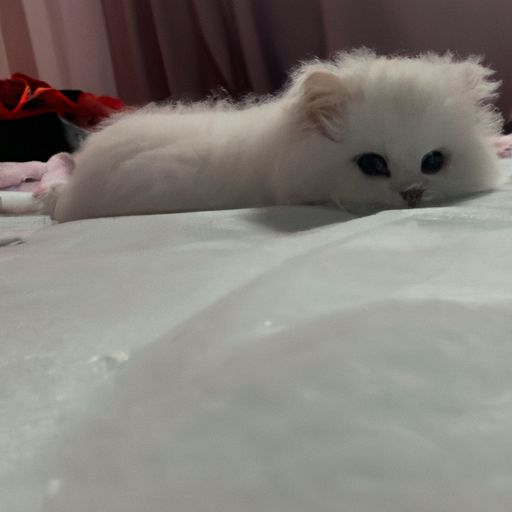 哪个国家床垫最好