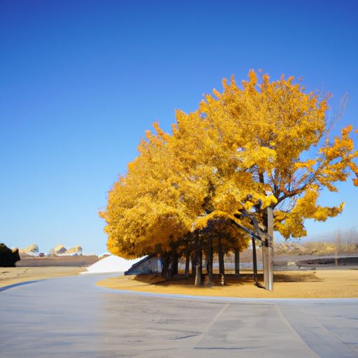 2018立冬是几月几日