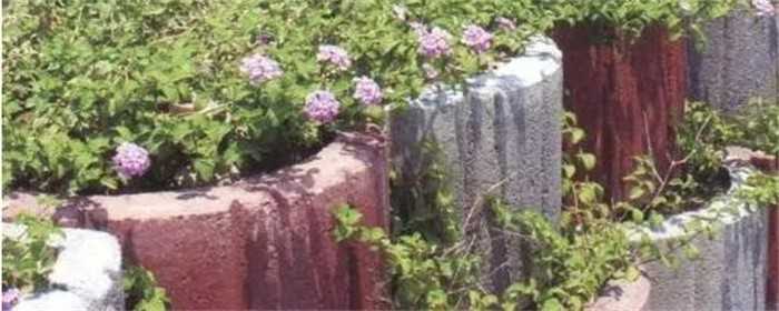 花台设计怎样好看的 花台设计怎样好看的