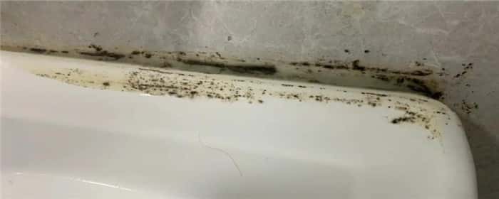 洗手台霉渍怎么去掉
