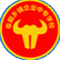 阜阳乡镇企业中专学校