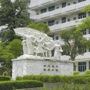 阳江市卫生学校校徽