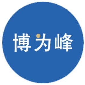 上海博为峰机构标识