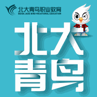 北大青鸟湖北校区机构标识