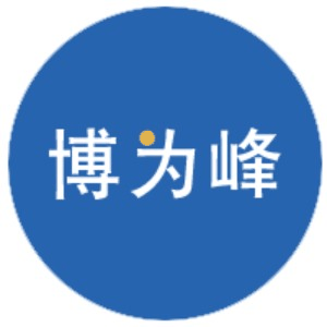 博为峰(长沙)机构标识