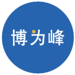 武汉博为峰机构标识