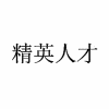 深圳布吉精英人才电脑培训机构标识