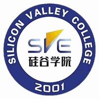 湖南硅谷高科软件学院机构标识