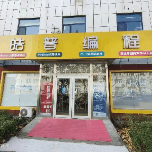 皓普编程机构标识