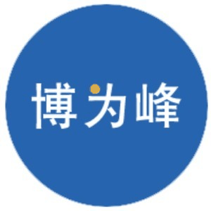 青岛博为峰机构标识