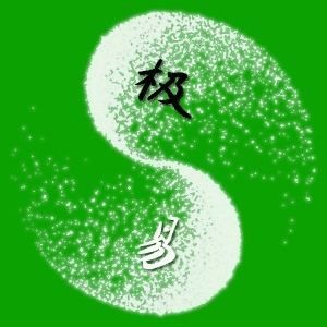 刘朝龙极易针灸培训机构标识