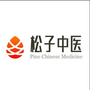 郑州松子中医职业培训学校机构标识