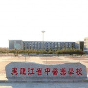 黑龙江省中医药学校机构标识
