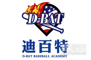 D-BAT迪百特棒球培训机构标识