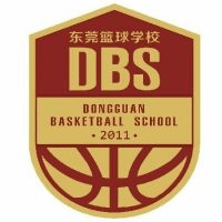 东莞篮球学校机构标识