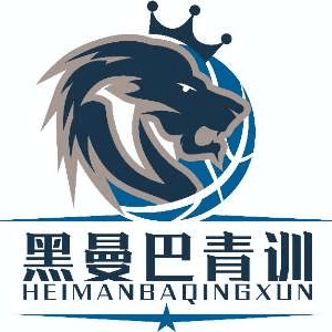 临沂黑曼巴篮球青训营机构标识