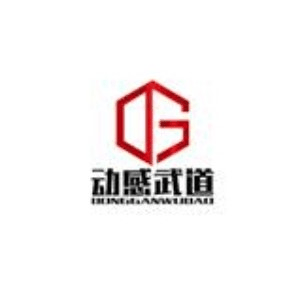 动感武道机构标识
