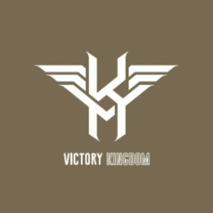 北京VK综合格斗俱乐部机构标识