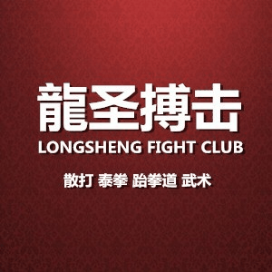 北京龙圣搏击国际体育俱乐部机构标识