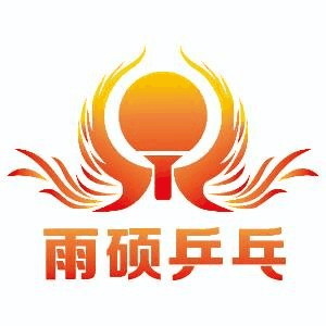 南京雨硕乒乓机构标识