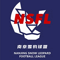南京雪豹足球俱乐部机构标识