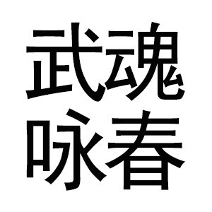 南昌西湖区武魂咏春拳馆机构标识