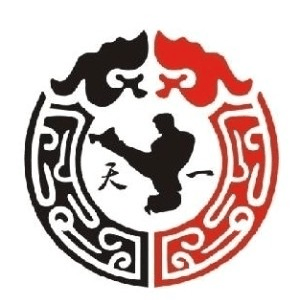 宁波天一少儿跆拳道馆机构标识