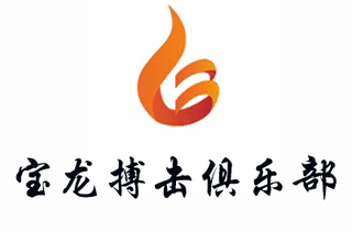 宝龙搏击俱乐部机构标识