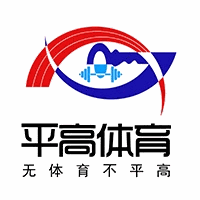平高教育集团体育部机构标识