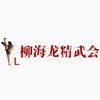 广州柳海龙精武会机构标识