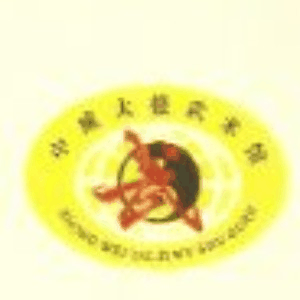 惠州中威太极武术馆机构标识