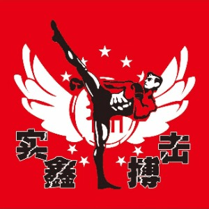 杭州实鑫搏击俱乐部机构标识