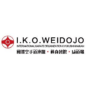 杭州狮魂空手道威道场机构标识