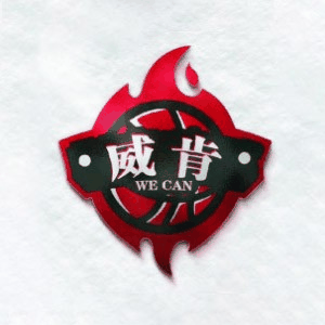 沈阳威肯篮球机构标识