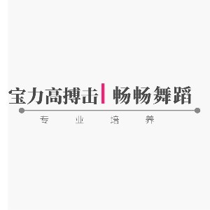 沈阳宝力高搏击机构标识