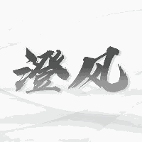 沈阳澄风体育机构标识