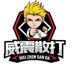 济南威震武道馆机构标识