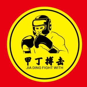 济南甲丁搏击俱乐部机构标识