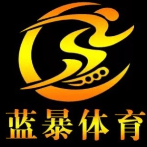 济南蓝暴体育机构标识