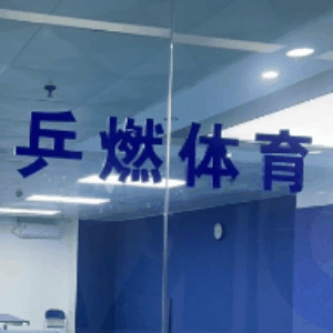 深圳乒燃体育机构标识