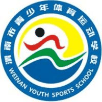 渭南市青少年体育运动学校机构标识