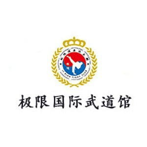 烟台极限国际武道教育机构标识
