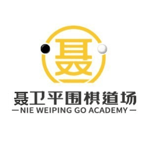贵阳聂卫平围棋道场机构标识