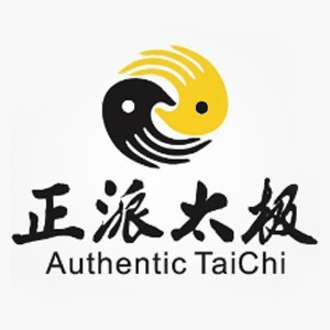 重庆正派太极馆机构标识