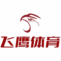 重庆飞鹰体育机构标识