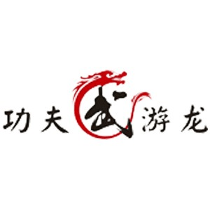 长沙功夫游龙军事夏令营机构标识