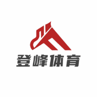 长沙登峰体育机构标识